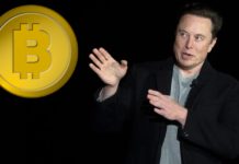 elon-musk-bitcoin