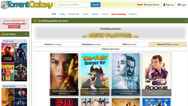 TorrentGalaxy torrent site