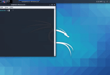 kali linux on windows